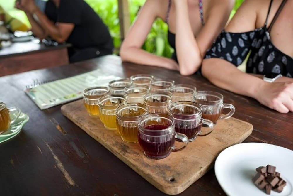 Half-Day Ubud Rice Field and Village Cycling Tour | ®ExcursionMania