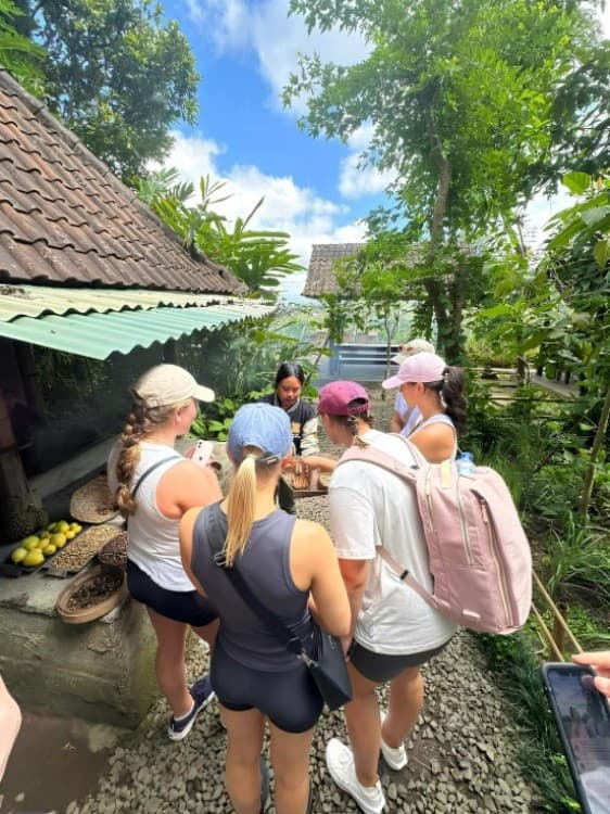 Half-Day Ubud Rice Field and Village Cycling Tour | ®ExcursionMania