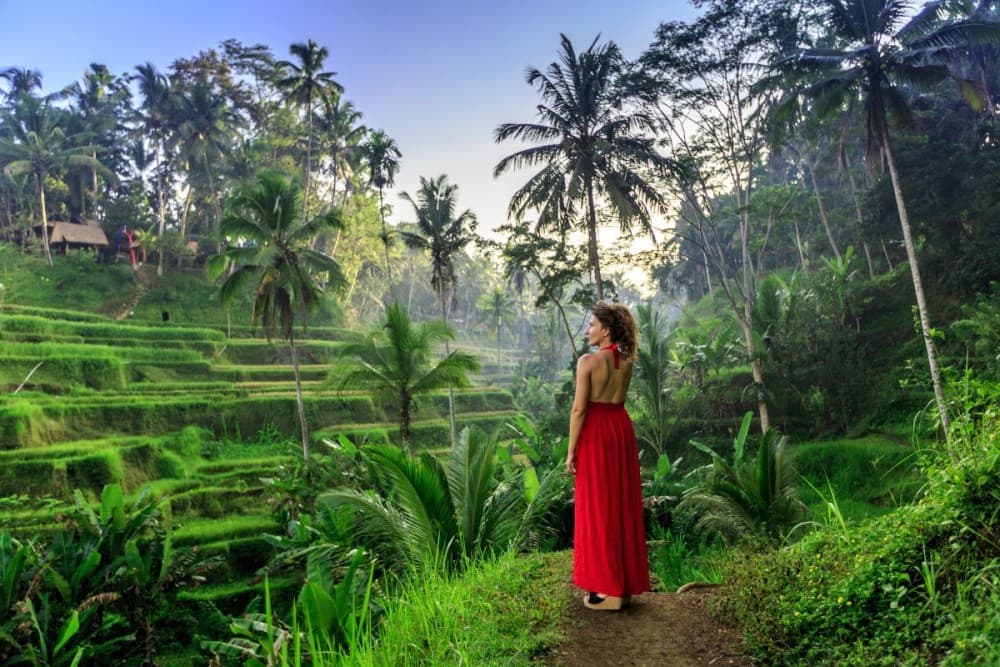 Best of Ubud Attractions: Private All-Inclusive Tour | ®ExcursionMania