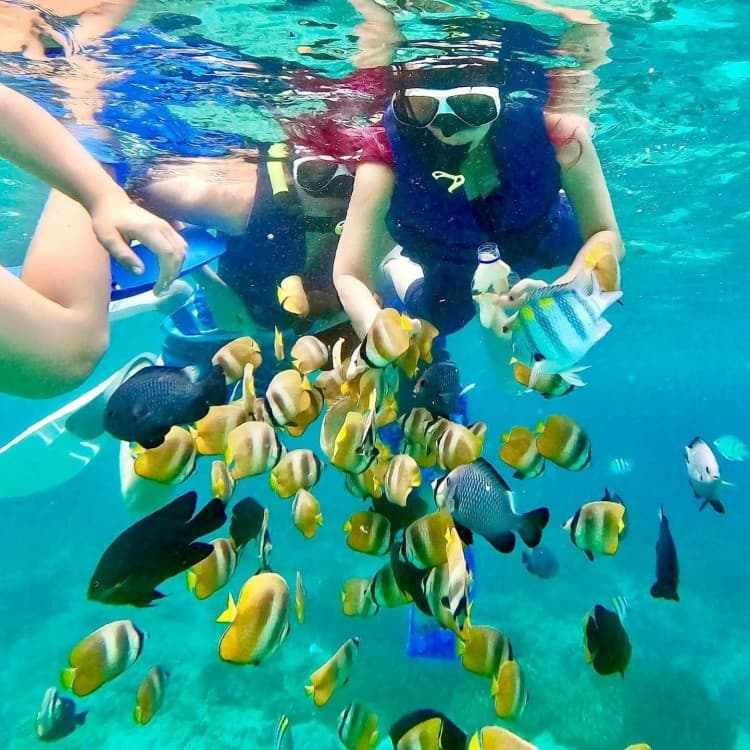 Blue Lagoon & Tanjung Jepun Beach Snorkeling Experience In East Bali | ®ExcursionMania