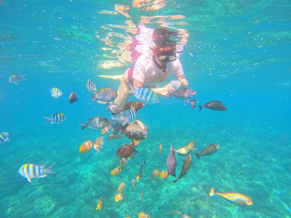 Blue Lagoon & Tanjung Jepun Beach Snorkeling Experience In East Bali | ®ExcursionMania