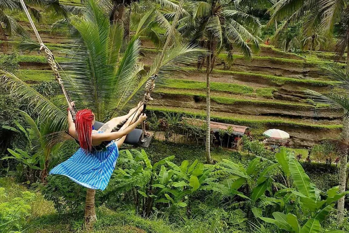 Pick 5 Destinations: Customized Ubud Tour | ®ExcursionMania