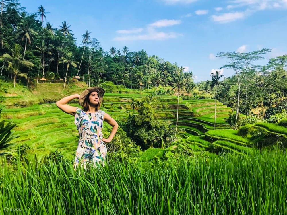 Pick 5 Destinations: Customized Ubud Tour | ®ExcursionMania