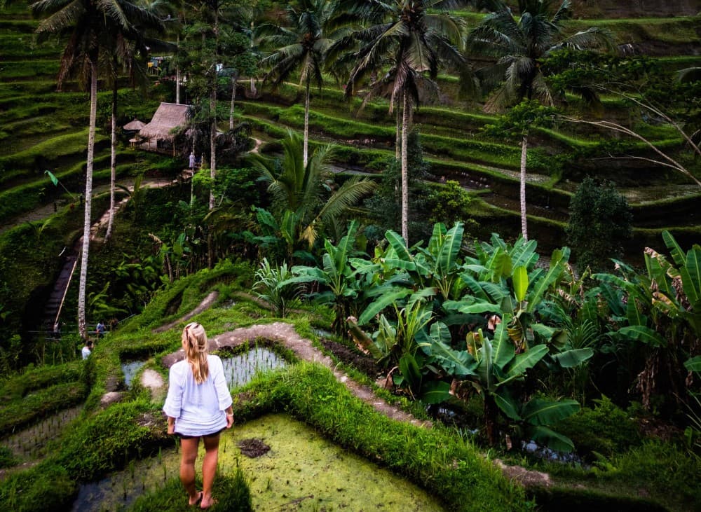 Pick 5 Destinations: Customized Ubud Tour | ®ExcursionMania