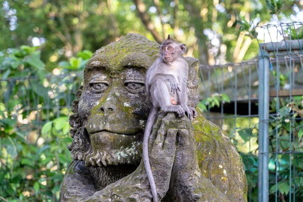 3 Days for the best of Ubud Private Tour | ®ExcursionMania
