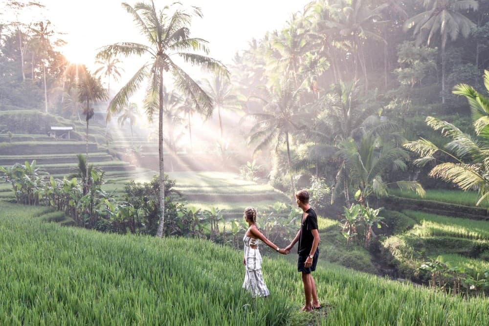 3 Days for the best of Ubud Private Tour | ®ExcursionMania