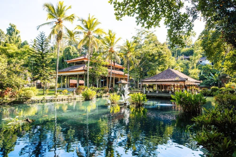 All Inclusive Ubud Tour with 15 Sitter Van | ®ExcursionMania
