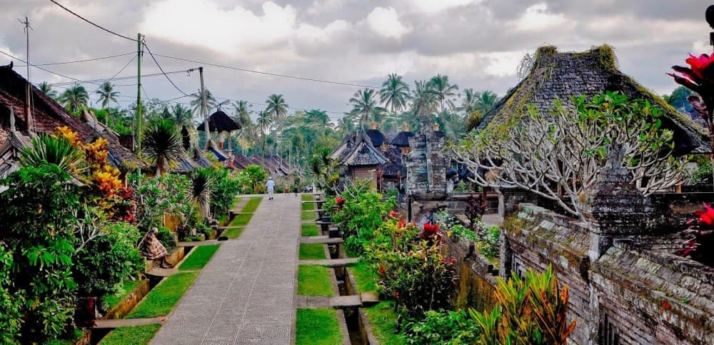 Private Experience: Bali Village Tour | ®ExcursionMania