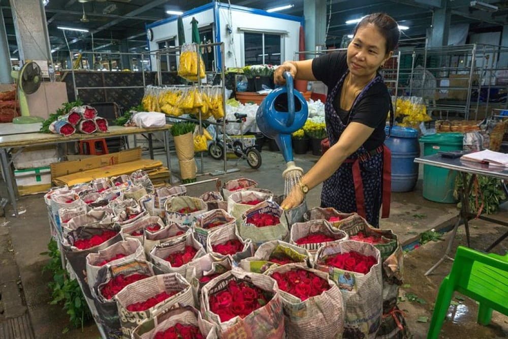 Experience Typical Thailand at Night including Streetfood | ®ExcursionMania