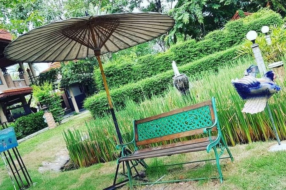 Lost in Bangkok : Green Lung Jungle Bicycle Ride with Lunch | ®ExcursionMania