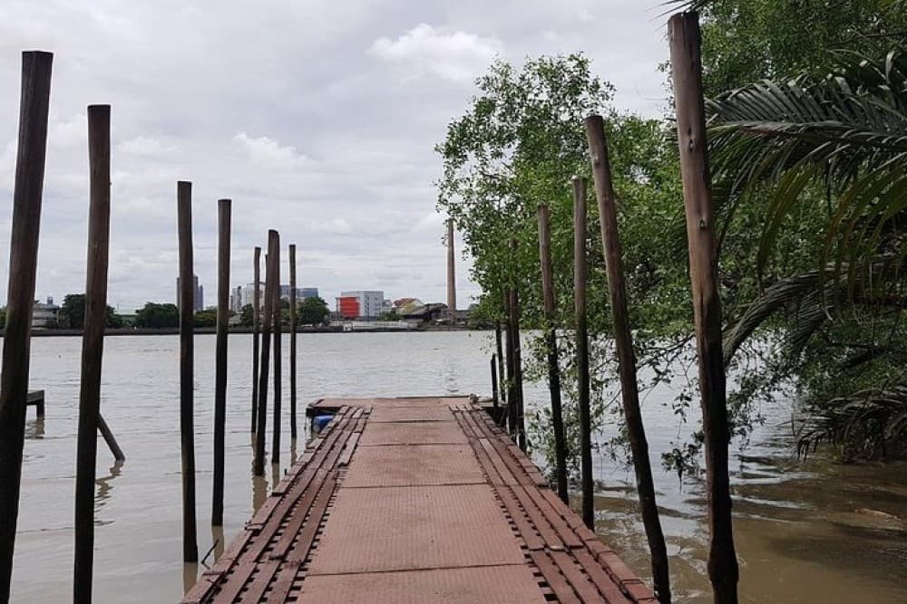 Lost in Bangkok : Green Lung Jungle Bicycle Ride with Lunch | ®ExcursionMania