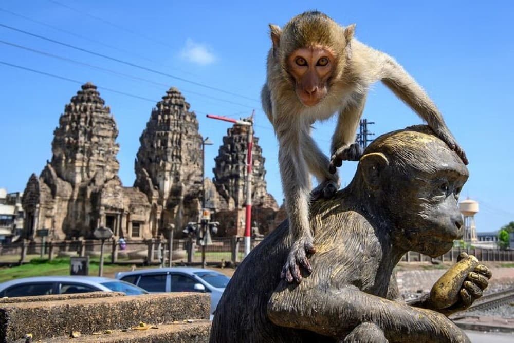 3D2N Ayutthaya & Lopburi Experience at Riverside Resort | ®ExcursionMania
