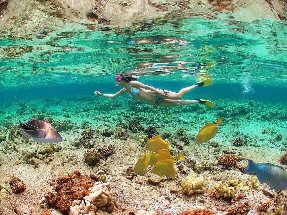 Turunc Snorkeling Tour With Free Lunch & Equipments | ®ExcursionMania