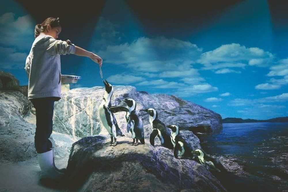 SEA LIFE Ocean World at Bangkok Admission Ticket | ®ExcursionMania