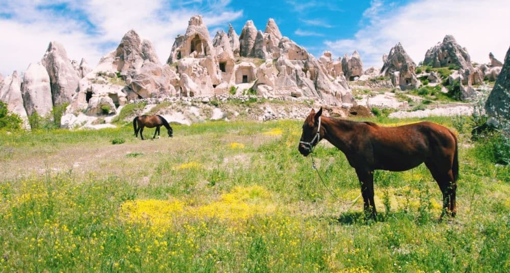 Cappadocia: Horseback Riding Adventure Tour | ®ExcursionMania