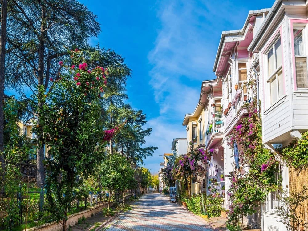 From Istanbul: Princess Islands Tour with Hotel Transfer & Lunch | ®ExcursionMania