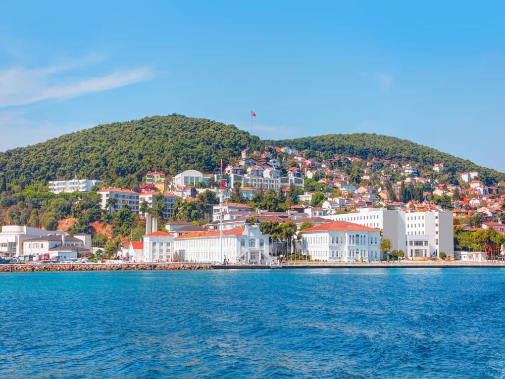 From Istanbul: Princess Islands Tour with Hotel Transfer & Lunch | ®ExcursionMania