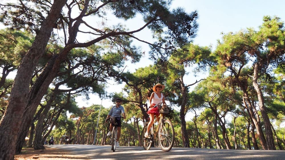 Istanbul: Everyday Princess Island Tour | ®ExcursionMania