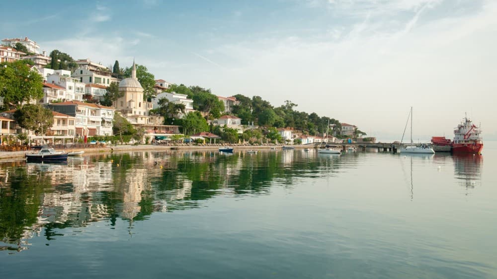 Istanbul: Everyday Princess Island Tour | ®ExcursionMania