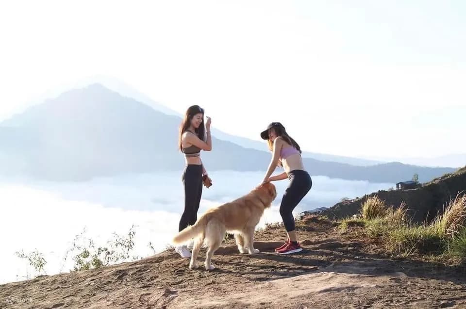 Kintamani Cafes and Mount Batur Sunrise Trekking Tour in Bali | ®ExcursionMania