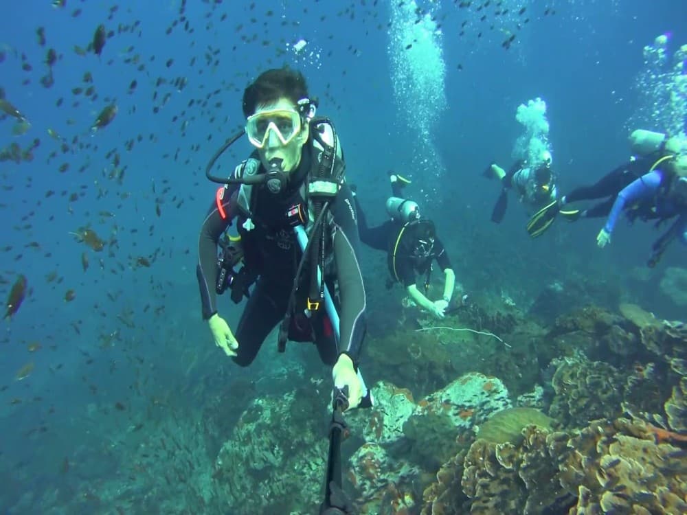 Side Scuba Diving w/ Hotel Transfer and 2 Dives | ®ExcursionMania