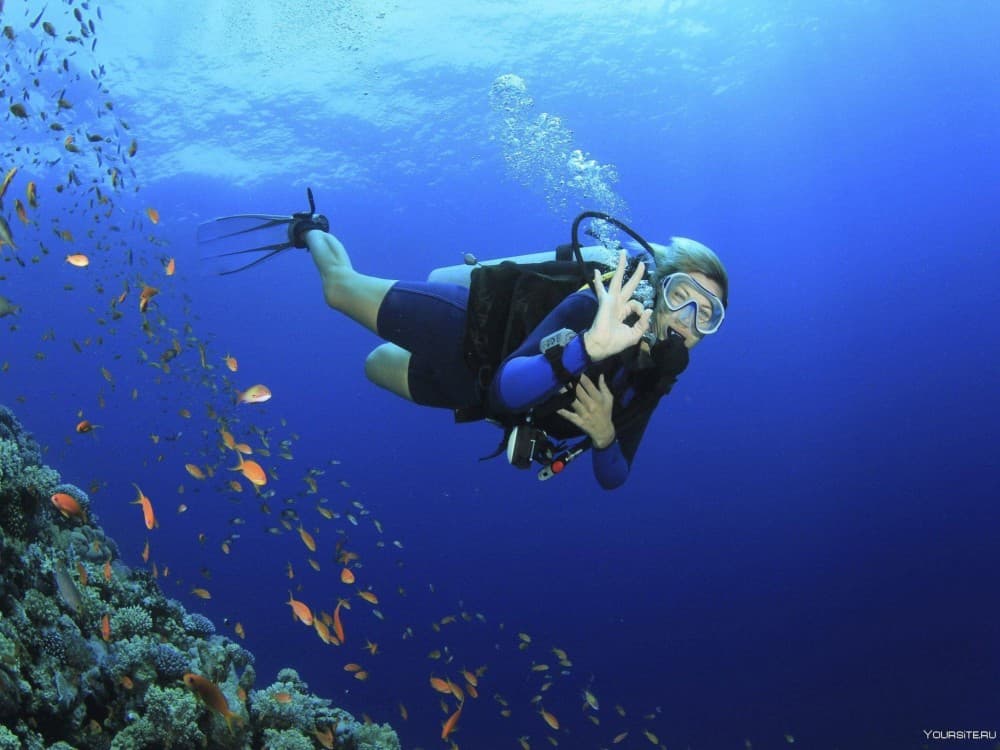 Side Scuba Diving w/ Hotel Transfer and 2 Dives | ®ExcursionMania