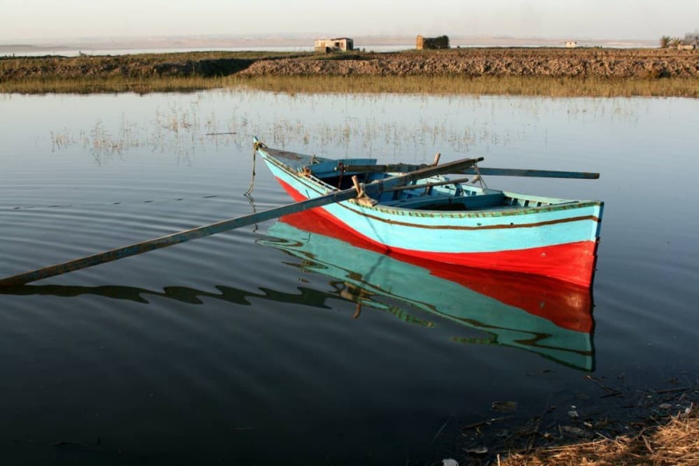 From Cairo: El Fayoum Oasis Private Day Trip with Lunch | ®ExcursionMania