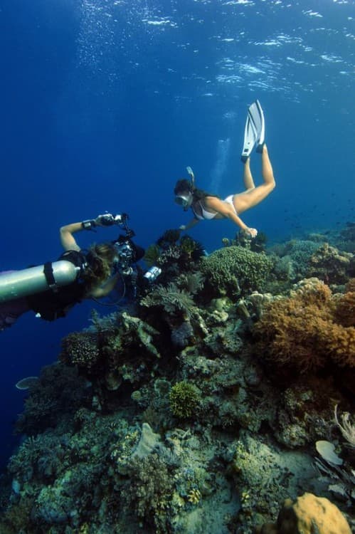 Sharm El-Sheikh: Guided Shore Scuba Diving Experience with 2 Dives | ®ExcursionMania