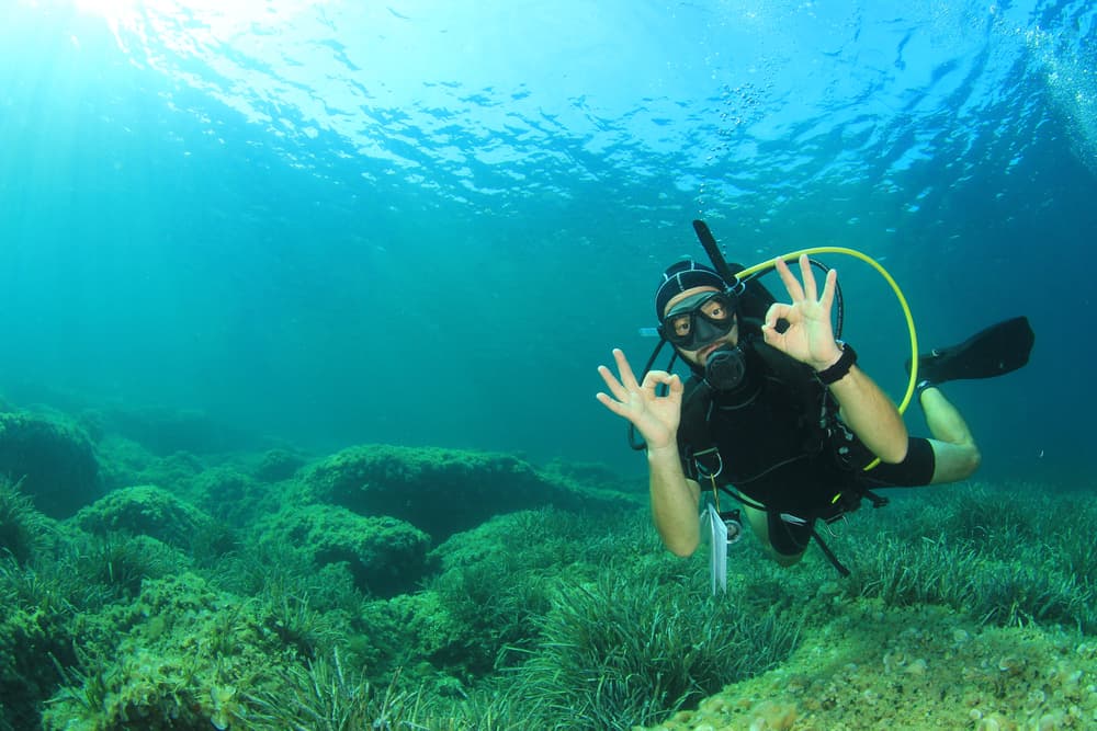 Sharm El-Sheikh: Guided Shore Scuba Diving Experience with 2 Dives | ®ExcursionMania