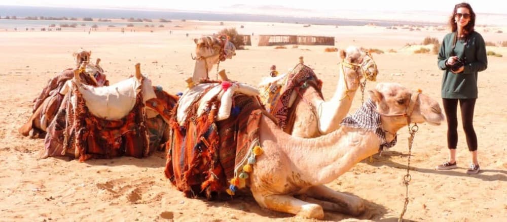 Cairo: 2-Day White Desert & Bahariya Oasis Safari Adventure | ®ExcursionMania