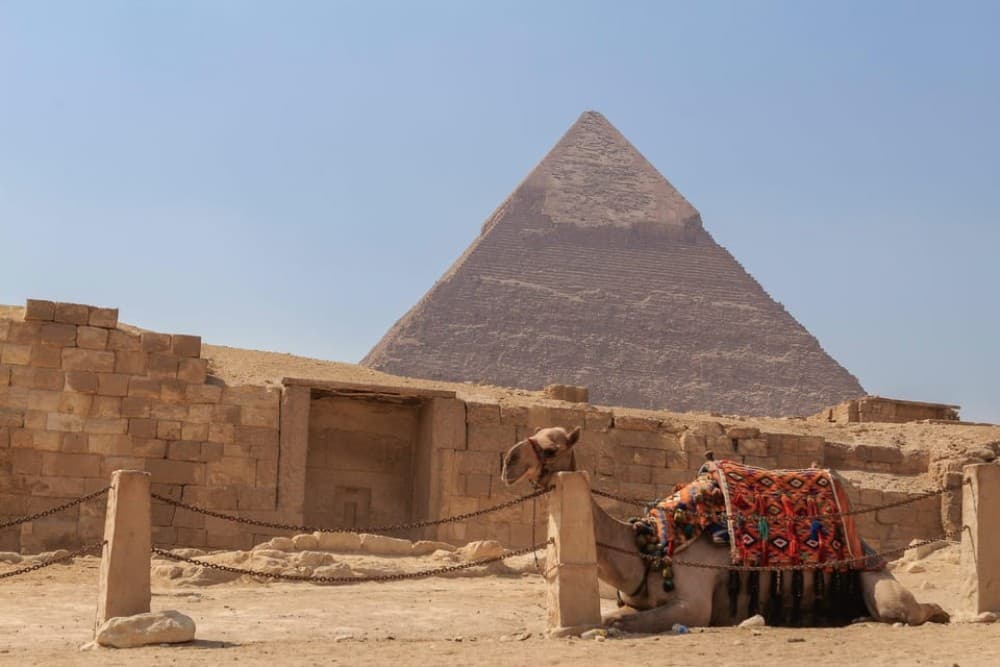 Cairo in a Day: Pyramids, Museum, Bazaar & Nile Dinner Cruise | ®ExcursionMania