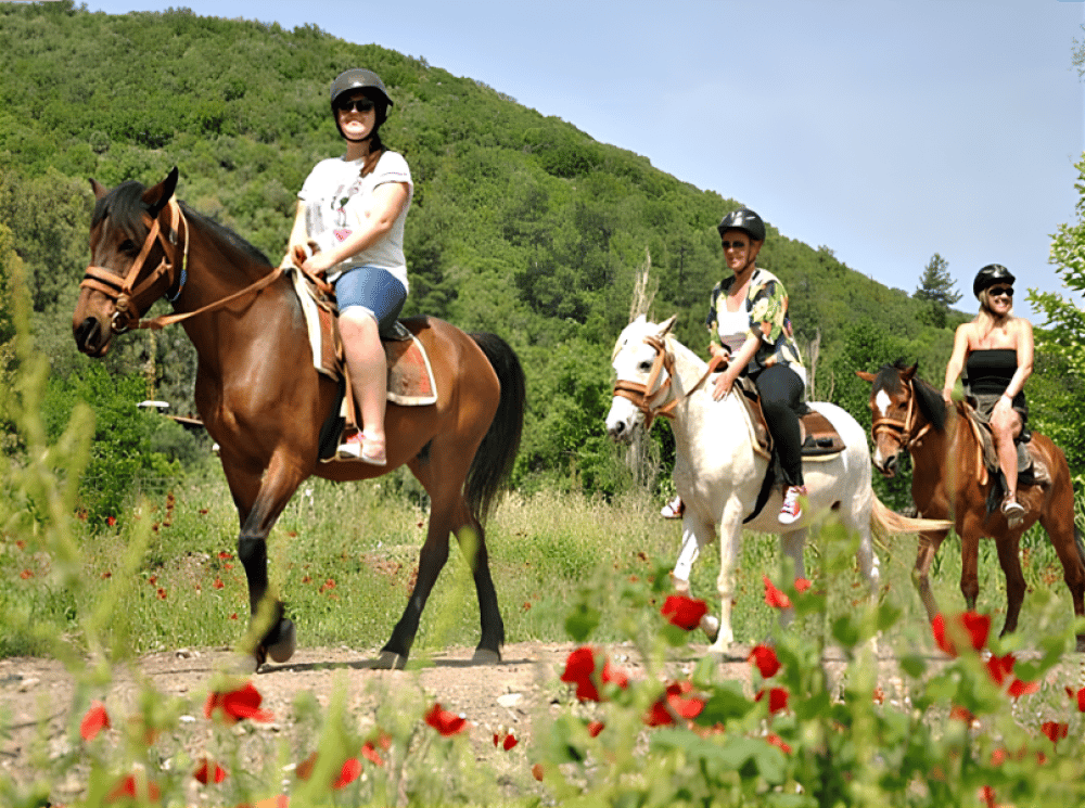 Turunc Horse Safari With Free Hotel Pickup Service | ®ExcursionMania