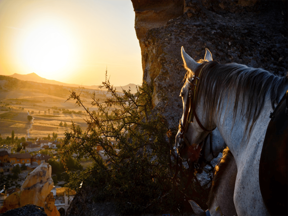 Cappadocia Adventure Combo: Horse Quad and Shooting with Camel | ®ExcursionMania