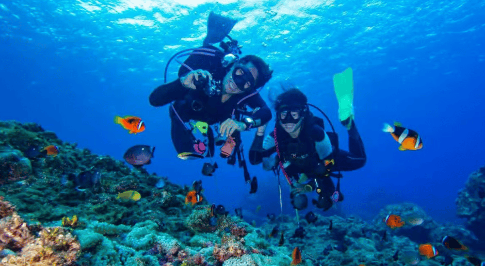 Alanya: Scuba Diving Tour with Lunch and Hotel Transfers | ®ExcursionMania