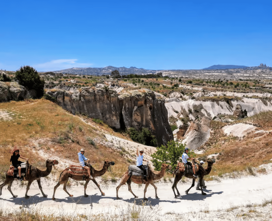 Cappadocia Camel Safari Tour | ®ExcursionMania