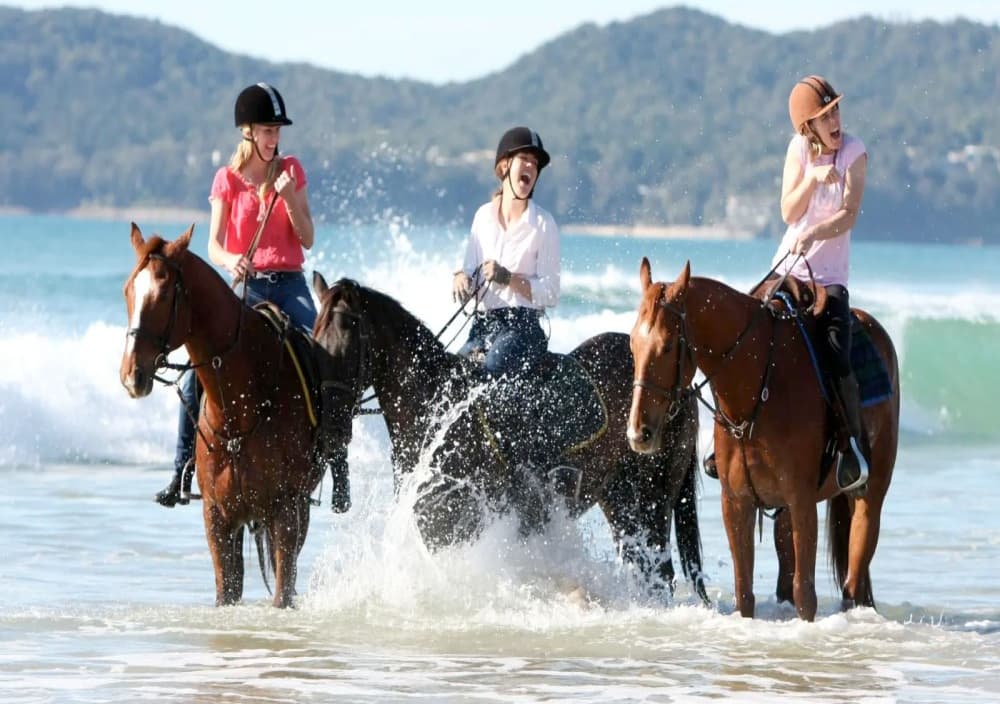 Antalya: Lara Beach & Forrest Horse Riding Safari | ®ExcursionMania