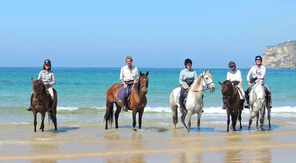 Bodrum Horse Riding Adventure | ®ExcursionMania