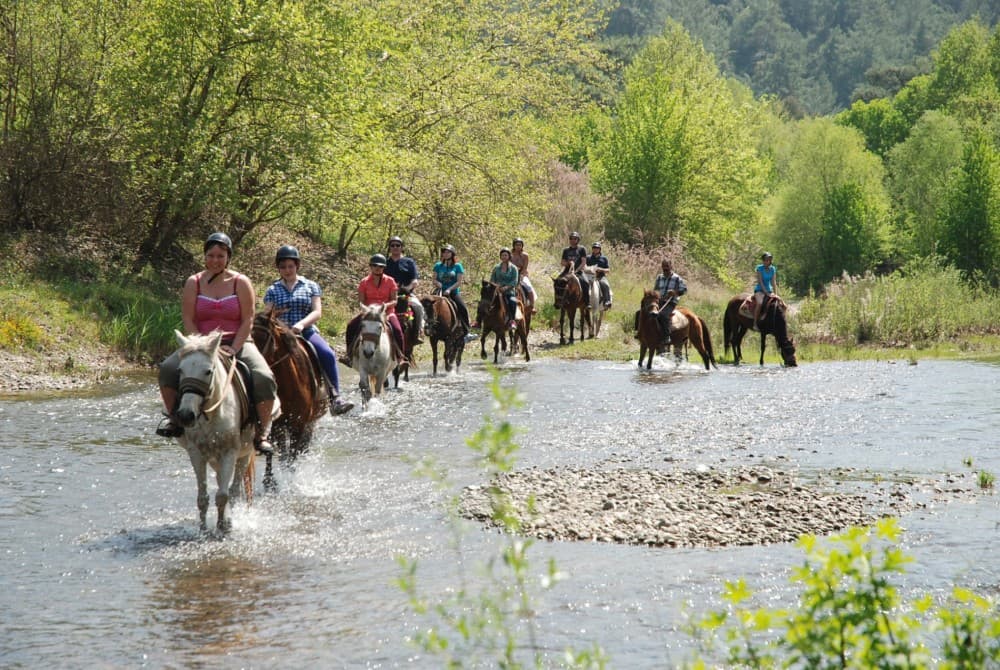 Bodrum Horse Riding Adventure | ®ExcursionMania