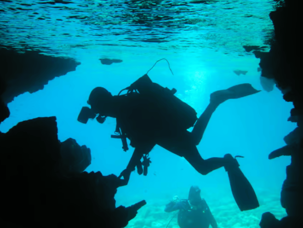 Bodrum Diving Day for Advanced and Beginner Divers | ®ExcursionMania