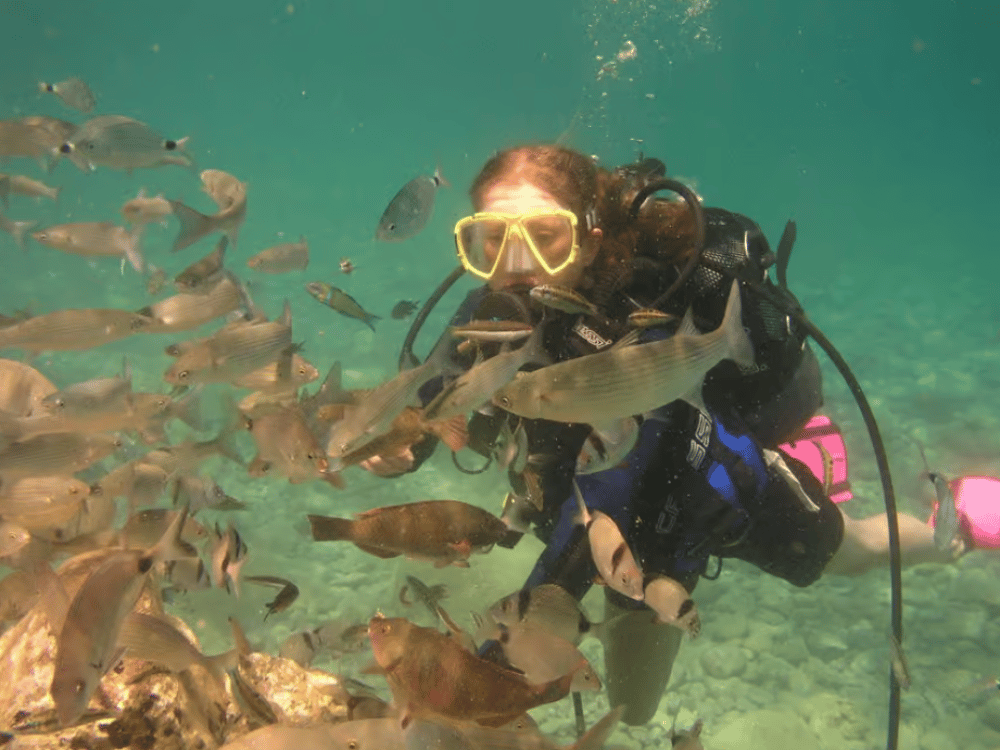 Bodrum Diving Day for Advanced and Beginner Divers | ®ExcursionMania