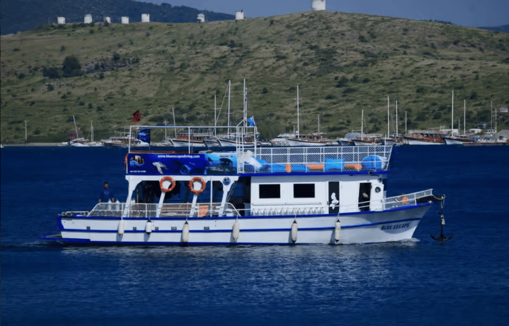 Bodrum Diving Day for Advanced and Beginner Divers | ®ExcursionMania