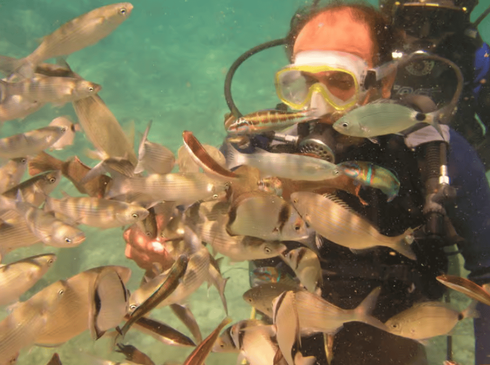 Bodrum Diving Day for Advanced and Beginner Divers | ®ExcursionMania