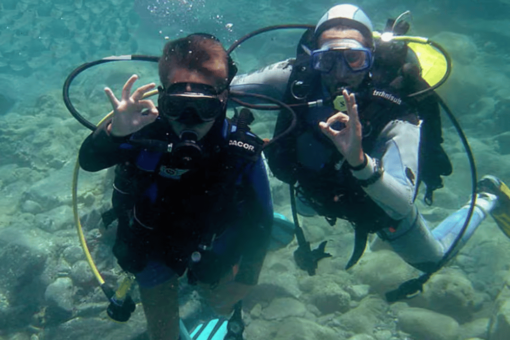 Bodrum Diving Day for Advanced and Beginner Divers | ®ExcursionMania