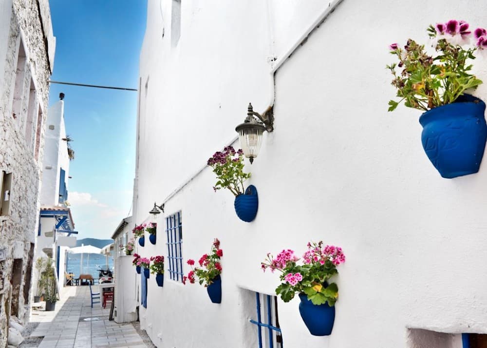 Bodrum Like a Local By Walk | ®ExcursionMania