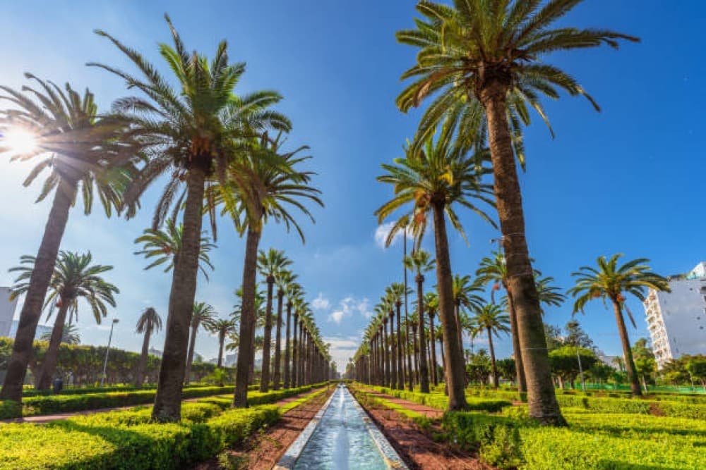 From Marrakech to the Atlantic: Casablanca Day Escape | ®ExcursionMania