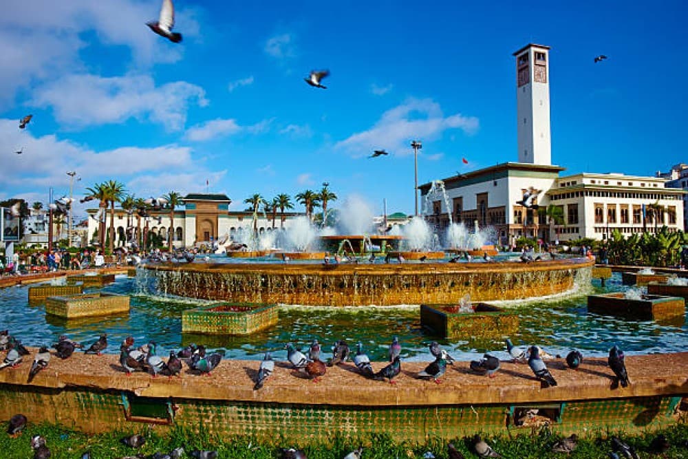 From Marrakech to the Atlantic: Casablanca Day Escape | ®ExcursionMania