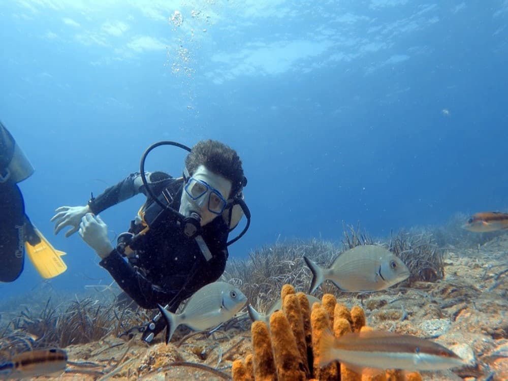Olympos Diving Adventure: Explore the Mediterranean Depths | ®ExcursionMania