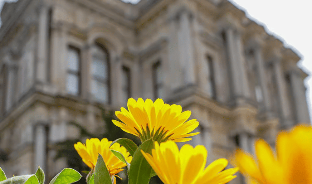 Istanbul: Beylerbeyi Palace Skip-the-Line Ticket & Audio Guide | ®ExcursionMania