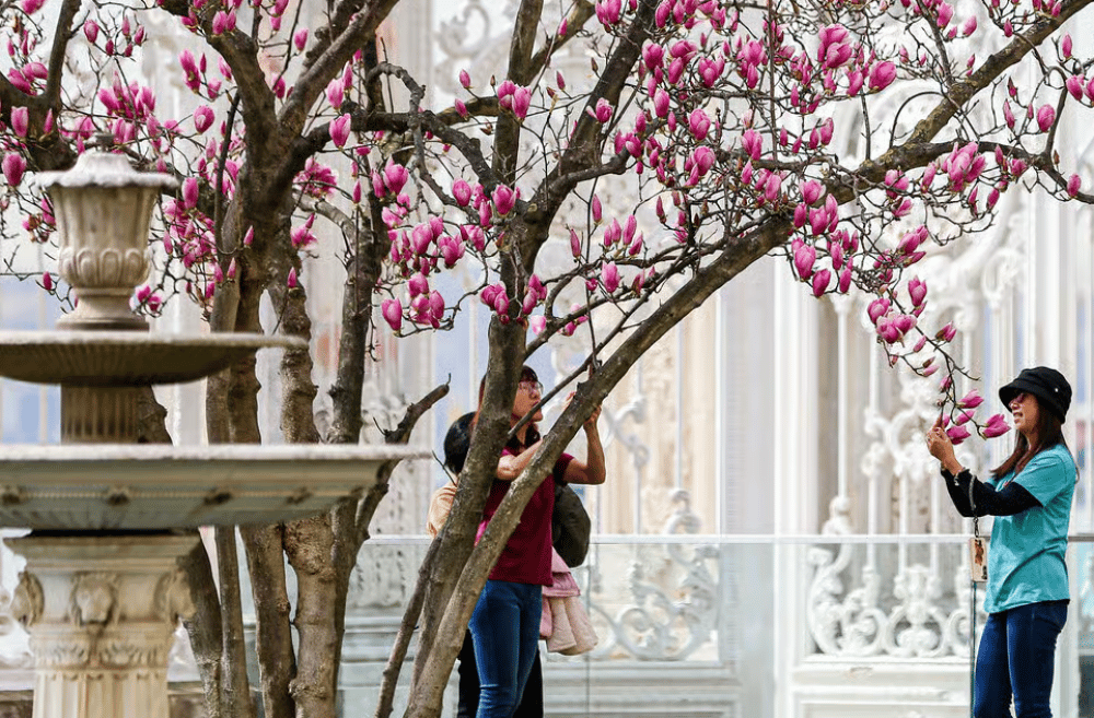 Istanbul: Dolmabahce Palace and Harem Fast-Track & Audio | ®ExcursionMania