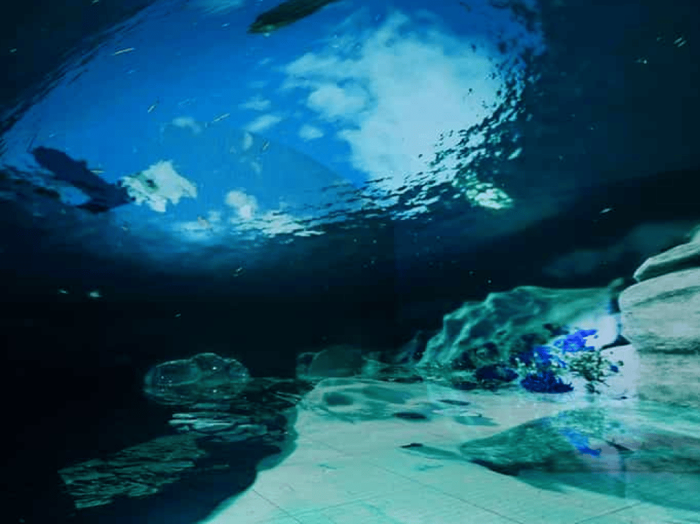 Istanbul: Digital Experience Museum Entry Ticket | ®ExcursionMania
